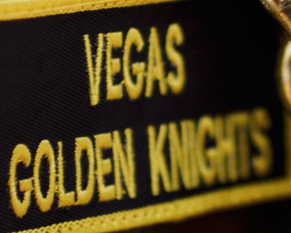 VGK_2018Teaser_1000x800