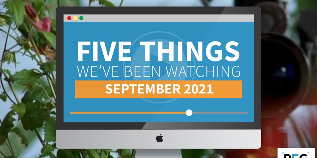 5 Things We've Been Watching: September 2021 Blog Image